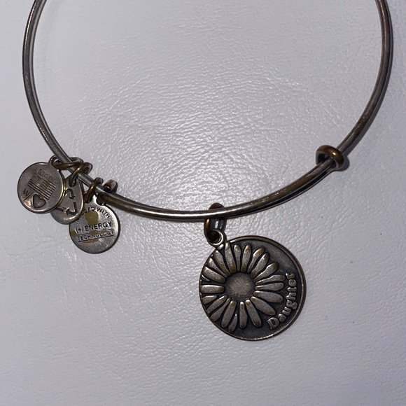 Alex and Ani Daughter Silver Bangle Charm Bracelet Adjustable Gypsy Boho GUC - Picture 6 of 10